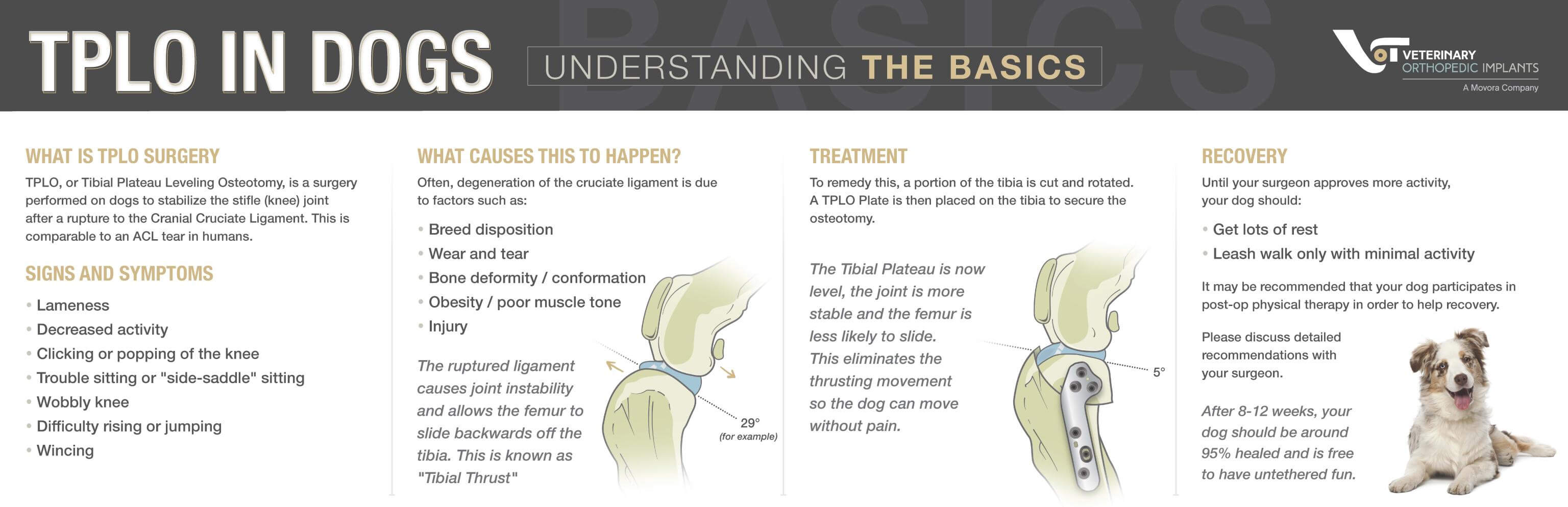 TPLO dog surgery at Standiford TPLO dog surgery at Standiford