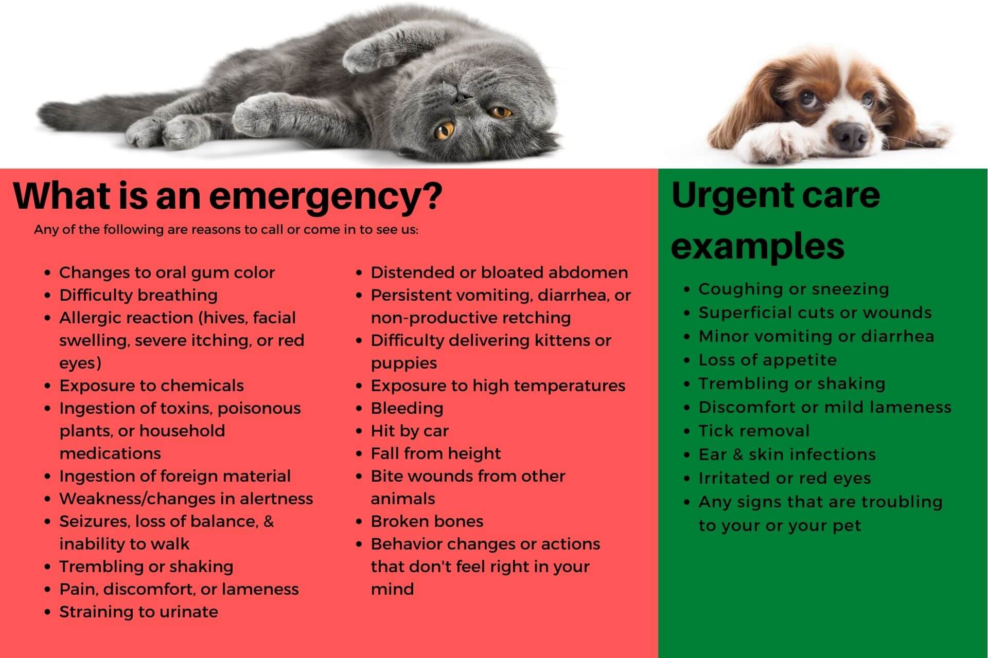 veterinary emergency services Modesto veterinary emergency services Modesto